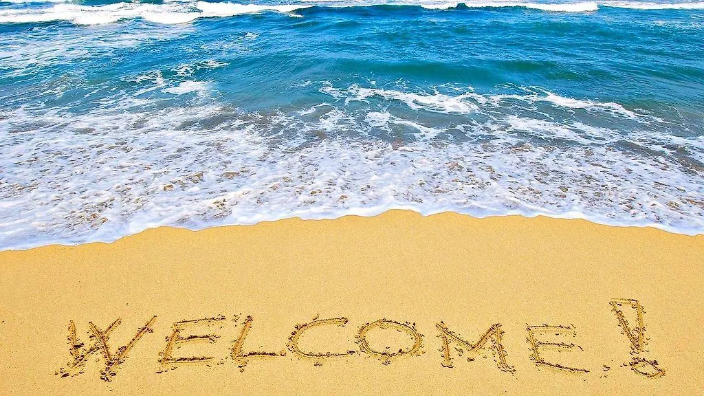 16Th Floor 1 Bedroom Resort Condo Direct Oceanfront Wyndham Ocean Walk Resort Daytona Beach 1605 0*,  Stati Uniti